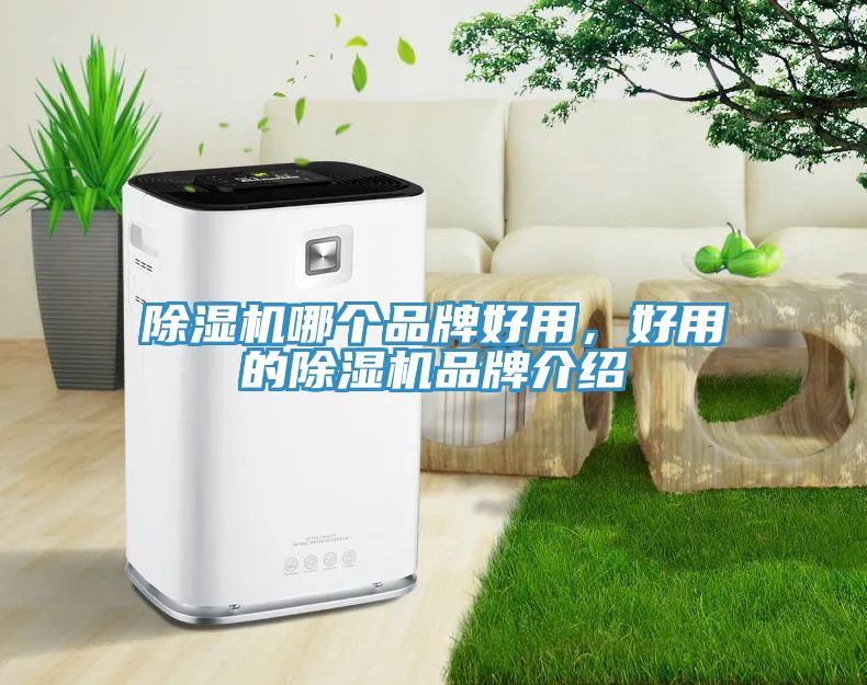除濕機(jī)哪個(gè)品牌好用，好用的除濕機(jī)品牌介紹