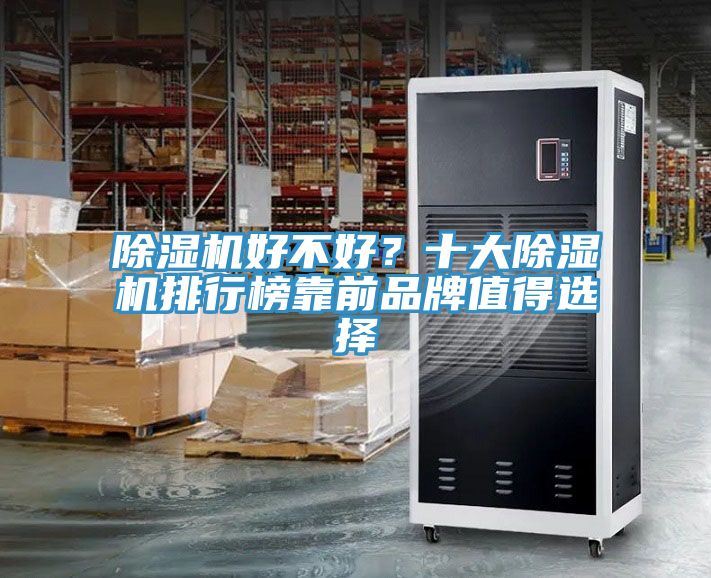 除濕機好不好？十大除濕機排行榜靠前品牌值得選擇