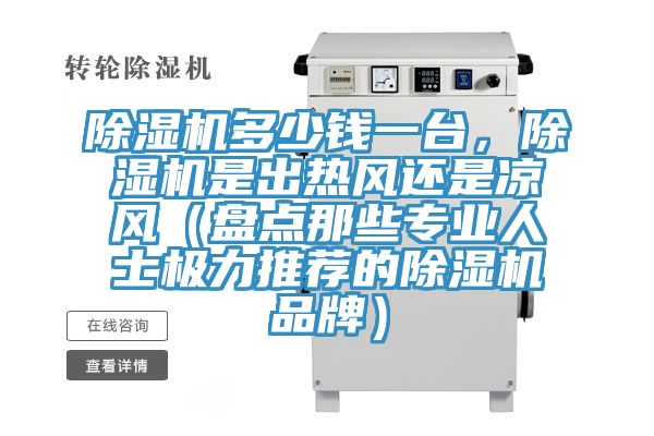 除濕機多少錢一臺，除濕機是出熱風還是涼風（盤點那些專業人士極力推薦的除濕機品牌）