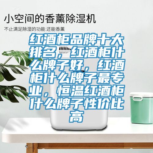 紅酒柜品牌十大排名，紅酒柜什么牌子好，紅酒柜什么牌子最專業(yè)，恒溫紅酒柜什么牌子性價比高