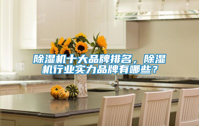 除濕機十大品牌排名，除濕機行業實力品牌有哪些？