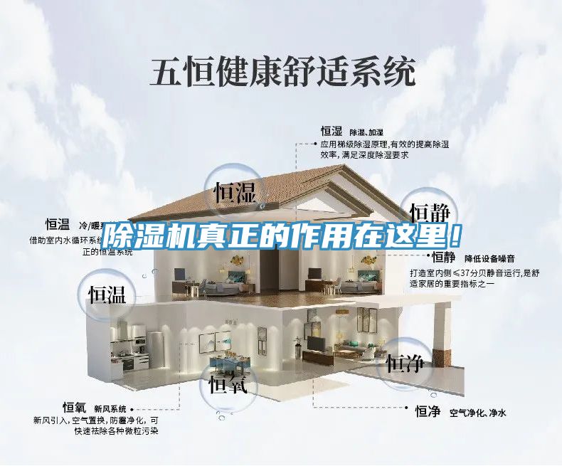 除濕機真正的作用在這里！