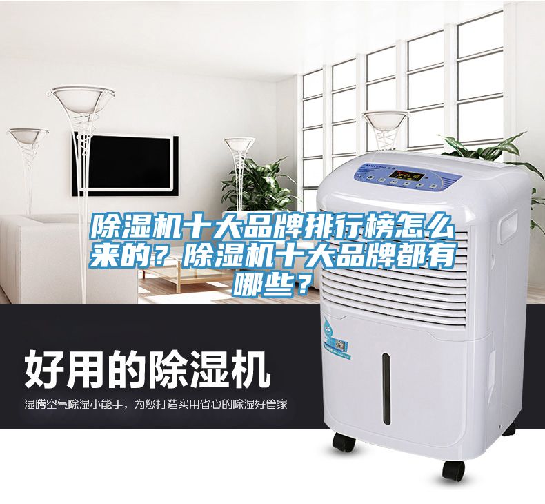 除濕機十大品牌排行榜怎么來的？除濕機十大品牌都有哪些？