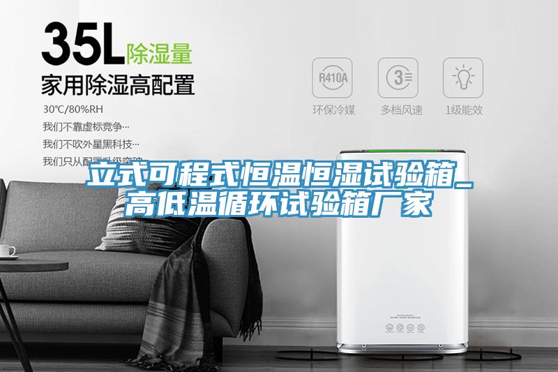立式可程式恒溫恒濕試驗箱_高低溫循環試驗箱廠家