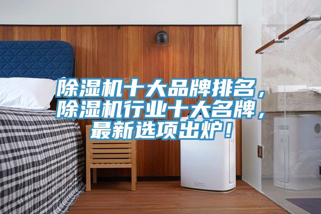 除濕機十大品牌排名，除濕機行業十大名牌，最新選項出爐！