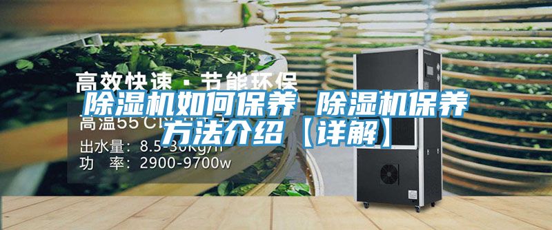 除濕機如何保養 除濕機保養方法介紹【詳解】