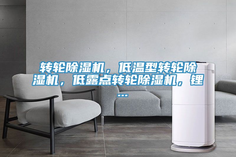 轉輪除濕機，低溫型轉輪除濕機，低露點轉輪除濕機，鋰 ...