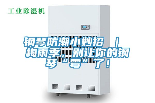 鋼琴防潮小妙招 ｜ 梅雨季，別讓你的鋼琴“霉”了！