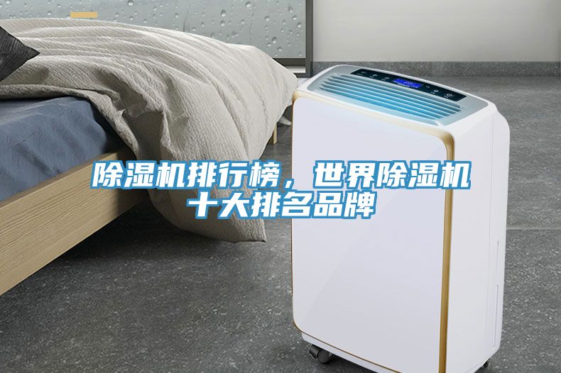 除濕機排行榜，世界除濕機十大排名品牌