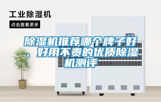 除濕機推薦哪個牌子好，好用不貴的優質除濕機測評