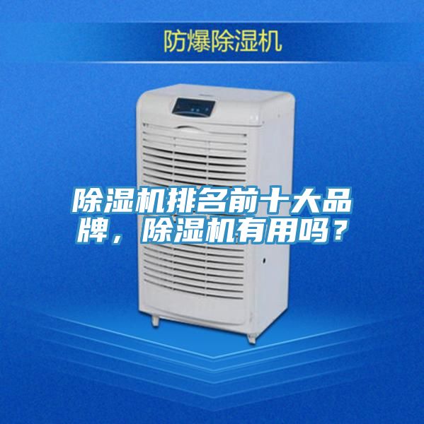 除濕機排名前十大品牌，除濕機有用嗎？