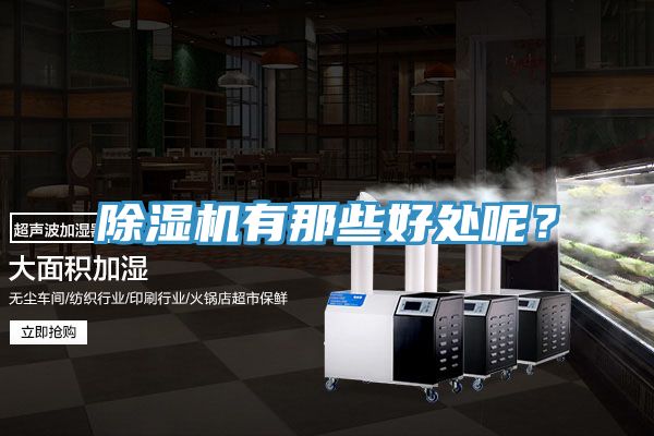 除濕機有那些好處呢？