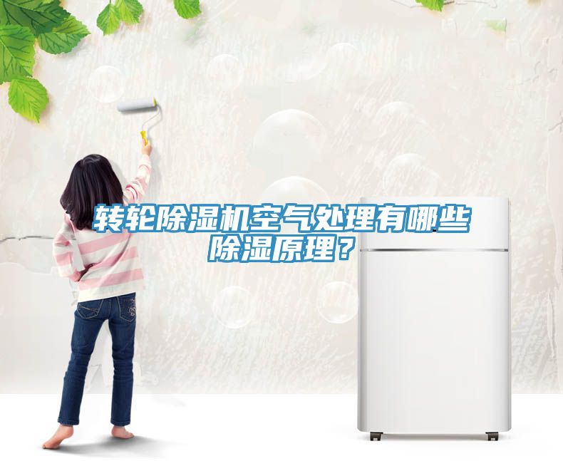 轉(zhuǎn)輪除濕機(jī)空氣處理有哪些除濕原理？