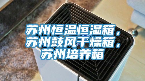 蘇州恒溫恒濕箱，蘇州鼓風(fēng)干燥箱，蘇州培養(yǎng)箱