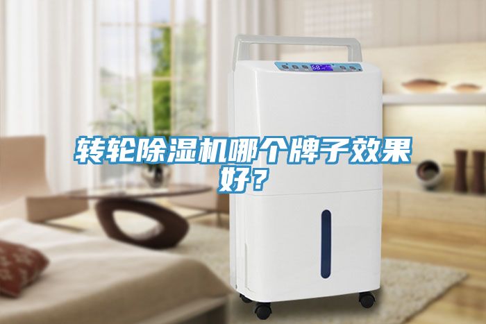 轉輪除濕機哪個牌子效果好？
