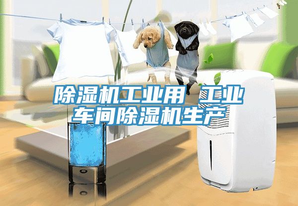 除濕機(jī)工業(yè)用 工業(yè)車(chē)間除濕機(jī)生產(chǎn)