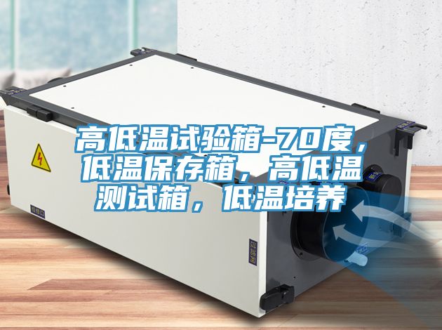 高低溫試驗箱-70度，低溫保存箱，高低溫測試箱，低溫培養
