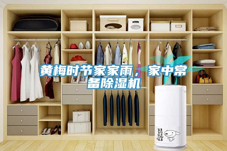 黃梅時節家家雨，家中常備除濕機