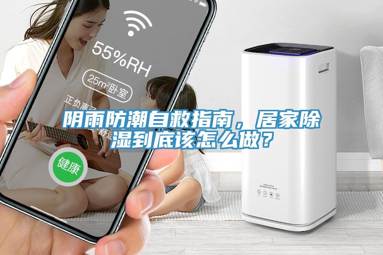 陰雨防潮自救指南,居家除濕到底該怎么做?