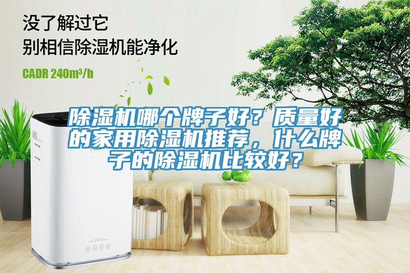 除濕機哪個牌子好？質量好的家用除濕機推薦，什么牌子的除濕機比較好？