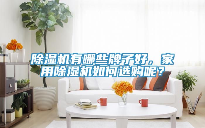 除濕機有哪些牌子好，家用除濕機如何選購呢？