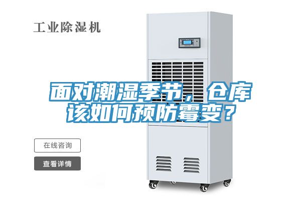 面對潮濕季節，倉庫該如何預防霉變？