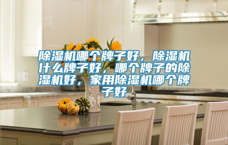 除濕機哪個牌子好，除濕機什么牌子好，哪個牌子的除濕機好，家用除濕機哪個牌子好