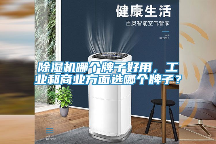 除濕機哪個牌子好用，工業和商業方面選哪個牌子？