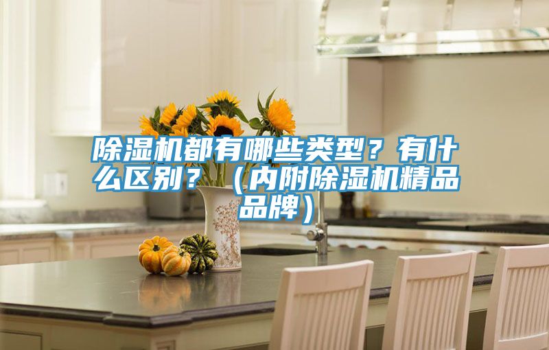 除濕機都有哪些類型？有什么區別？（內附除濕機精品品牌）