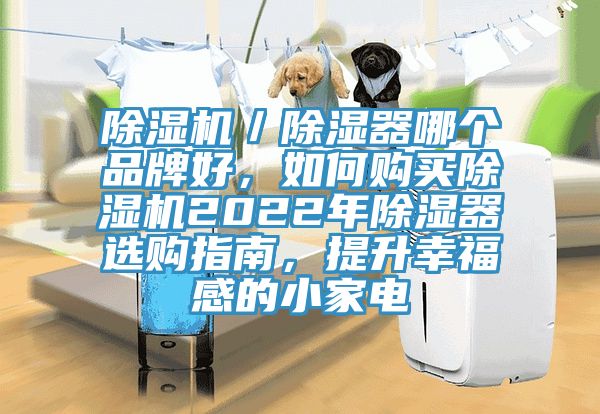 除濕機(jī)／除濕器哪個(gè)品牌好，如何購(gòu)買(mǎi)除濕機(jī)2022年除濕器選購(gòu)指南，提升幸福感的小家電